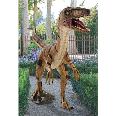 Velociraptor Jurassic Sized Dinosaur